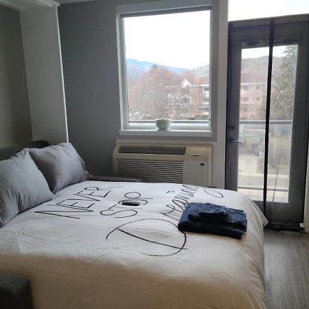 Cozy Studio Suite, 15Min Walk To Downtown Kelowna Ngoại thất bức ảnh
